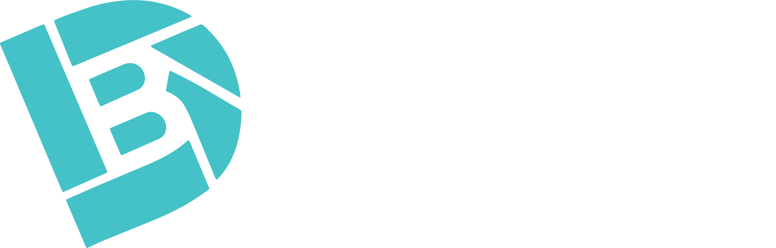 Disciple Built Logo Teal and White (RGB)